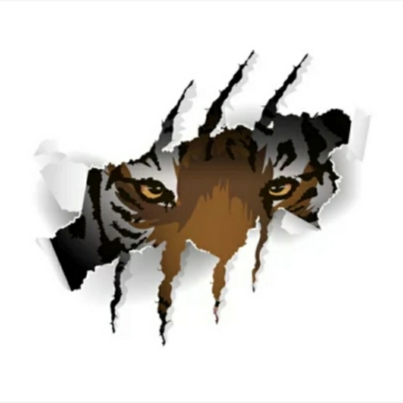 Meet your Posher, Harley - Picture 1 of 1